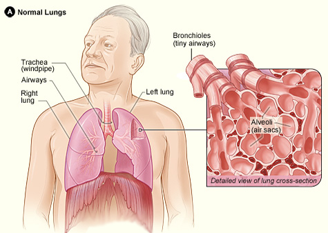 Oakland Lung and Sleep Specialists